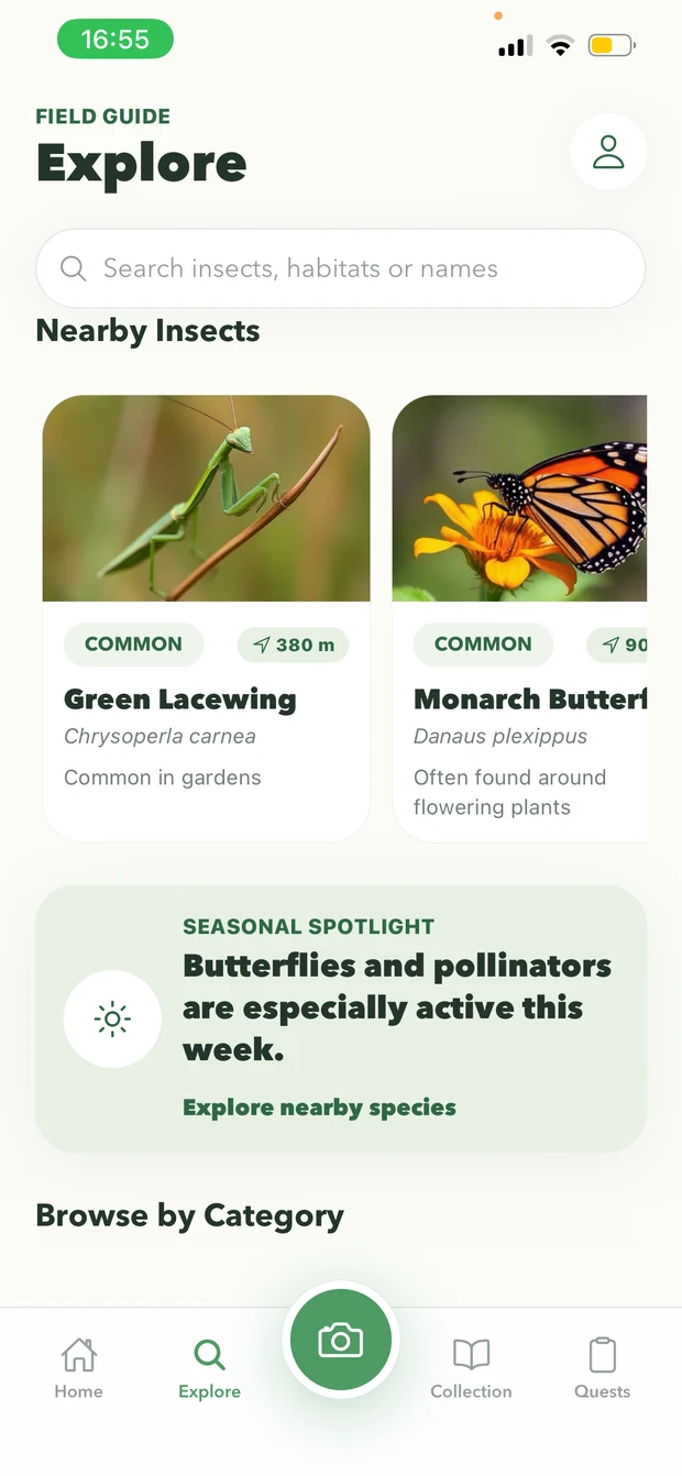 Bugdex Explore screen showing nearby insects, a search bar and a seasonal wildlife spotlight